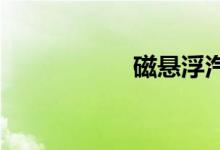 磁悬浮汽车真的假的