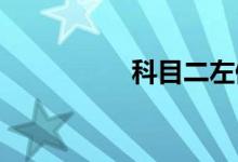 科目二左倒库完整视频