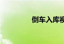 倒车入库视频讲解与技巧