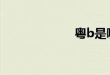 粤b是哪里的车牌