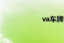 va车牌是什么意思