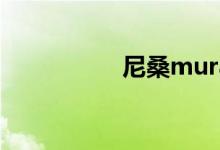 尼桑murano是什么车