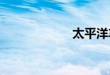 太平洋车险怎么样
