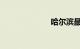 哈尔滨最新通知
