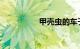 甲壳虫的车子有档次吗