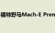 福特野马Mach-E Premium与GT性能版对比