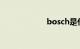 bosch是什么牌子