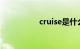 cruise是什么意思车上