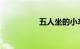 五人坐的小车小孩算吗