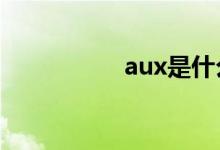 aux是什么意思车上的