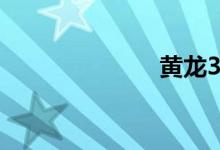 黄龙300怎么样