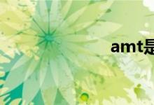 amt是什么意思