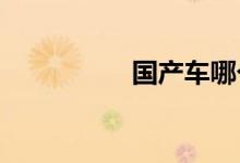 国产车哪个牌子质量好