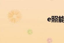 e照能开什么车