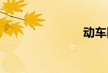动车网上购票