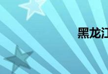 黑龙江违章查询