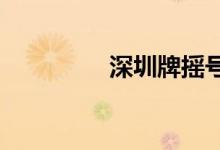 深圳牌摇号申请什么条件