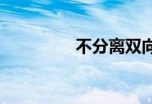 不分离双向行驶路段标志