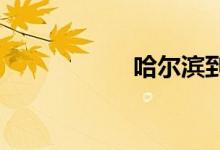 哈尔滨到上海火车票
