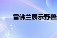 雪佛兰展示野兽越野概念的原始草图