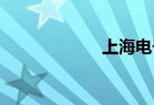 上海电子违章查询