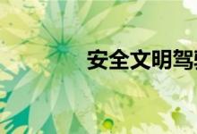 安全文明驾驶常识理论考试