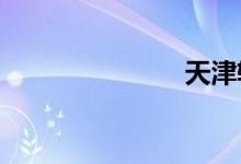 天津轻轨路线