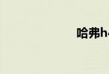 哈弗h4最新消息
