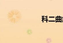 科二曲线行驶技巧