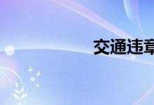 交通违章查询带照片