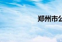 郑州市公交线路查询