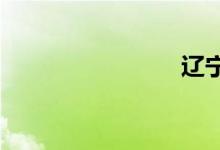 辽宁交通网