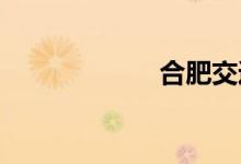 合肥交通违章查询