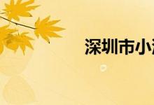 深圳市小汽车增量系统