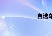 自选车牌号技巧