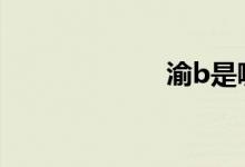 渝b是哪里的车牌