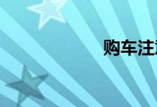 购车注意事项手续