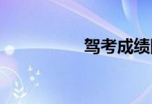 驾考成绩网上查询系统