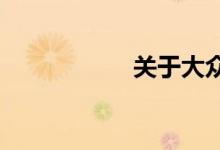 关于大众辉腾的笑话