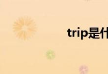 trip是什么意思汽车