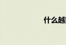 什么越野车最省油