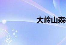 大岭山森林公园好玩吗