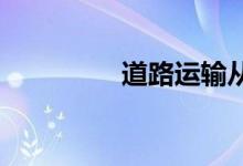 道路运输从业资格证查询