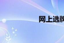 网上选牌照怎么选号