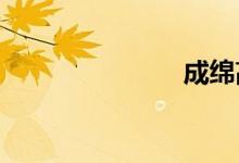 成绵高速复线