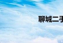 聊城二手车交易市场