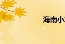 海南小车入户摇号