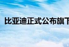 比亚迪正式公布旗下高端汽车品牌定名仰望