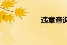 违章查询系统12123