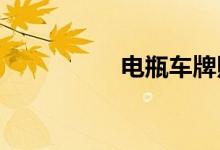电瓶车牌照在哪里办理